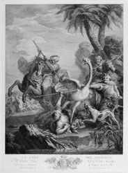 Ostrich Hunting